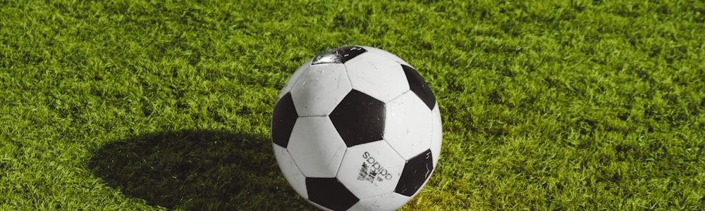 2026世界杯筹备会议现场图片